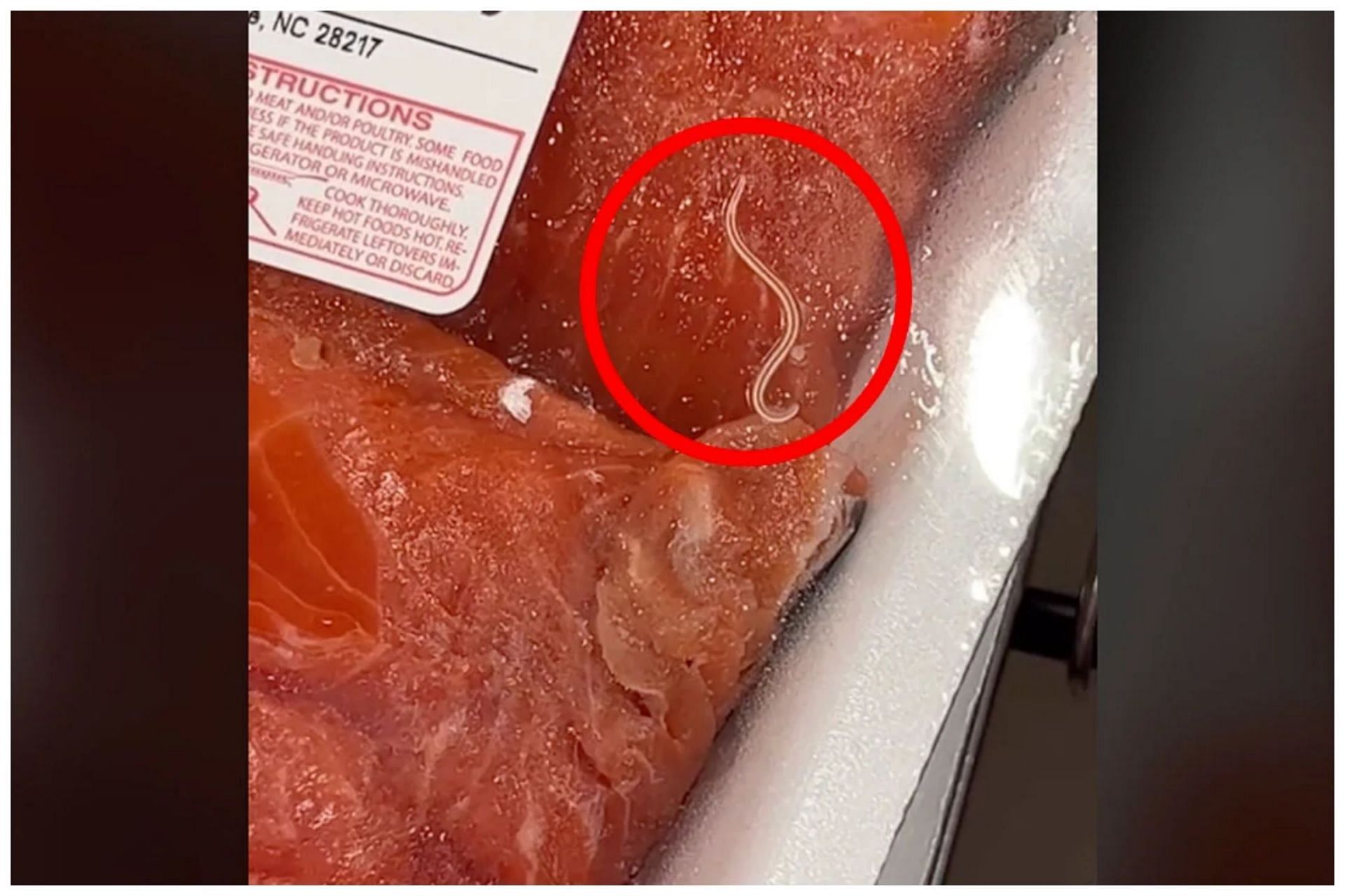 Costco has been under lawsuits earlier because of customers finding worms in their fish (Image by Rachel Lyn on TikTok)